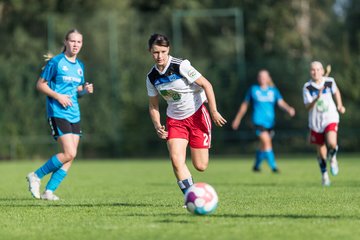 Bild 204 - wBJ VfL Pinneberg - Hamburger SV 2 : Ergebnis: 1:3